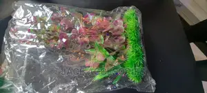 Acquarium Artificial Plants