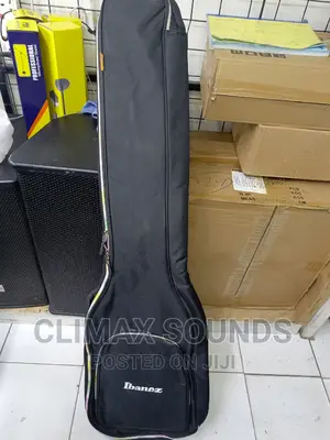 Bass Guitar Bag Padded