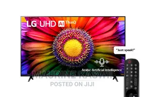 Lg 65 Ur80 2023 Model
