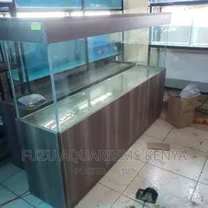 Big Customized Aquarium Fish Tank