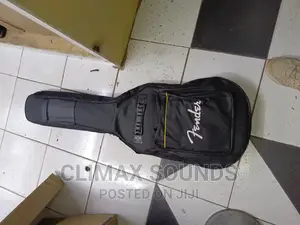 Acoustic Guitar Bag, Fenders