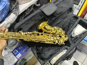 Alto Saxophone Premier S