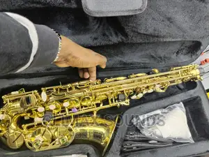Alto Saxophone Premier S