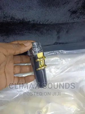 Alto Saxophone Mouth Piece