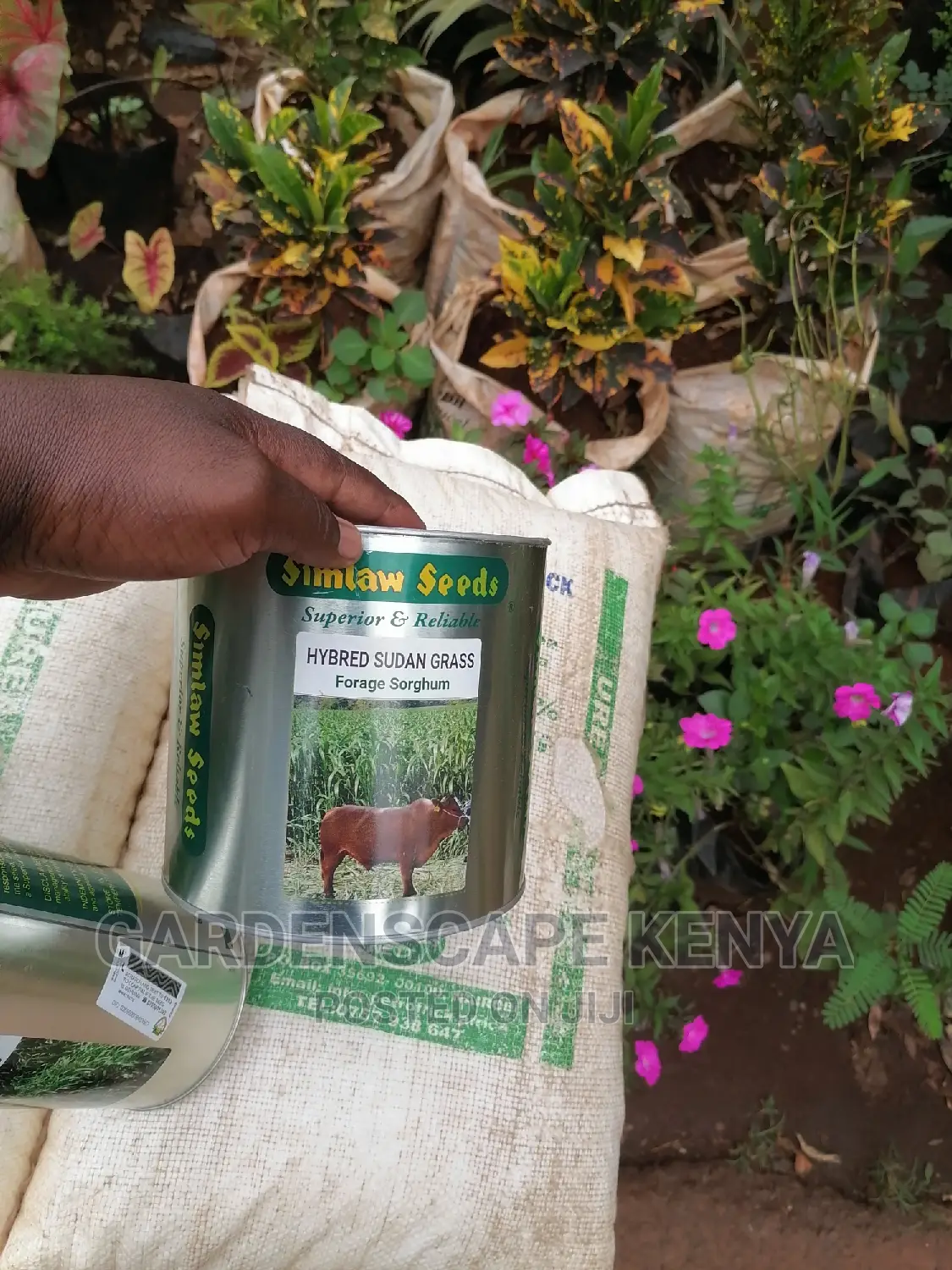 Garden Plants,Seeds,Trees, Fertilizers and Lawn Grass