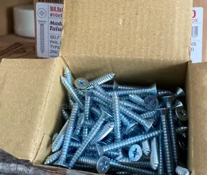 Self Tapping Wallplug Screws