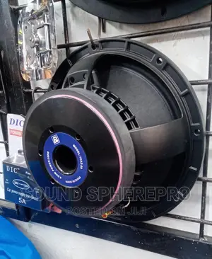 BM 10az-20 10inch Naked Speaker
