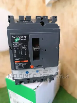 Schneider 3pole 250A McCb