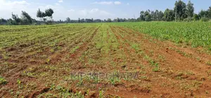 2 Acres For Sale In Moiben Junction Sergoit In Eldoret