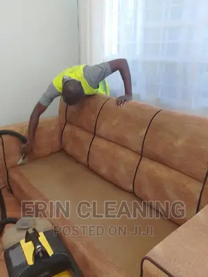 Professional Sofa Cleaning and Fumigation