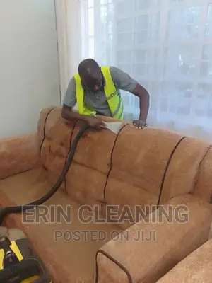 Cleaning Services of Sofas