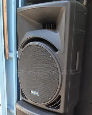Midrange Speaker 15 Inch