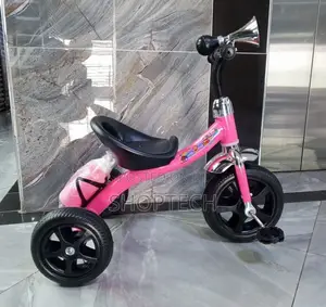 Tricycle With Water Bottle and Horn