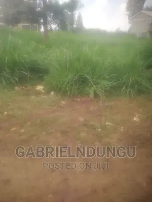 Ruiru Githunguri. Rd 100 Acres of Coffee Land for Sale