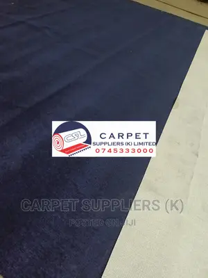 Blue Wall to Wall Carpet