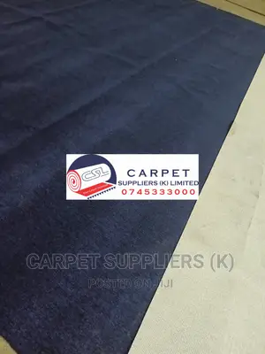 Blue Wall to Wall Carpet