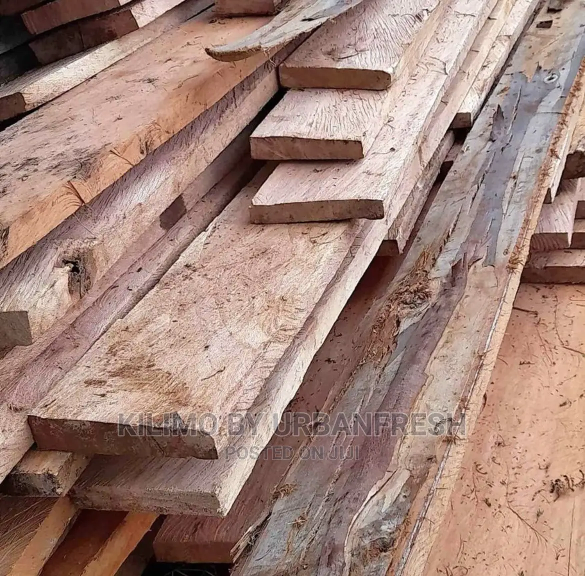 Mukima Timber Moq 30