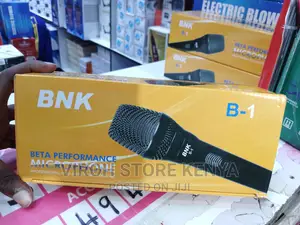 BNK Professional Wired Mic B1