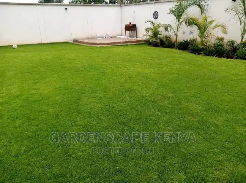 Garden Plants,Seeds,Trees, Fertilizers and Lawn Grass