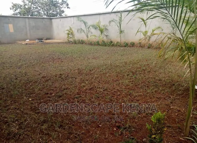 Garden Plants,Seeds,Trees, Fertilizers and Lawn Grass