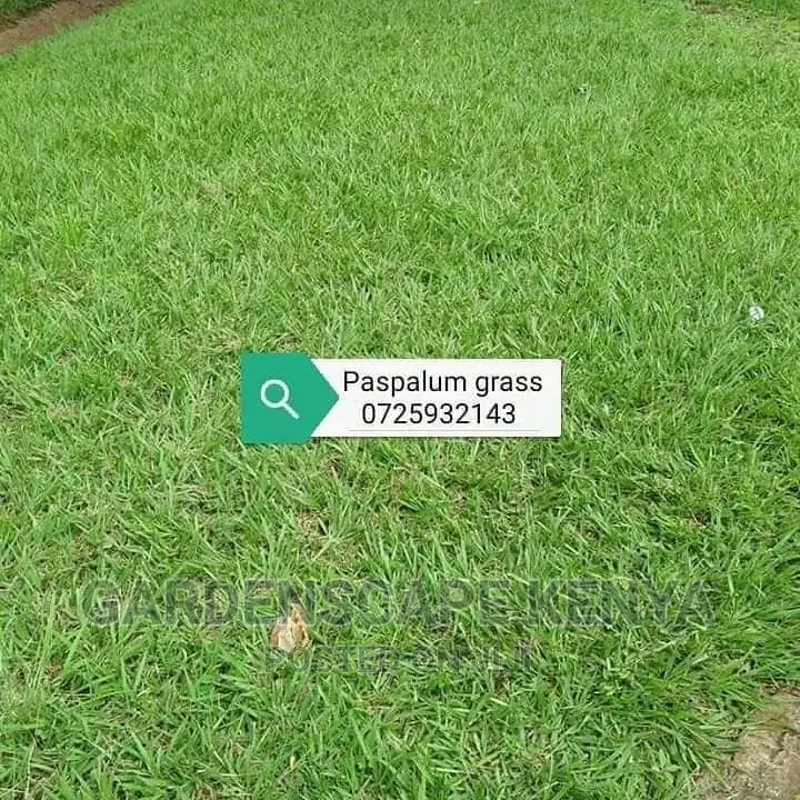 Garden Plants,Seeds,Trees, Fertilizers and Lawn Grass