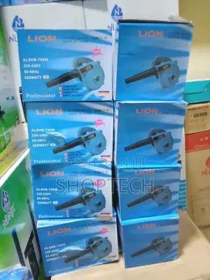 Electric Dust Blower