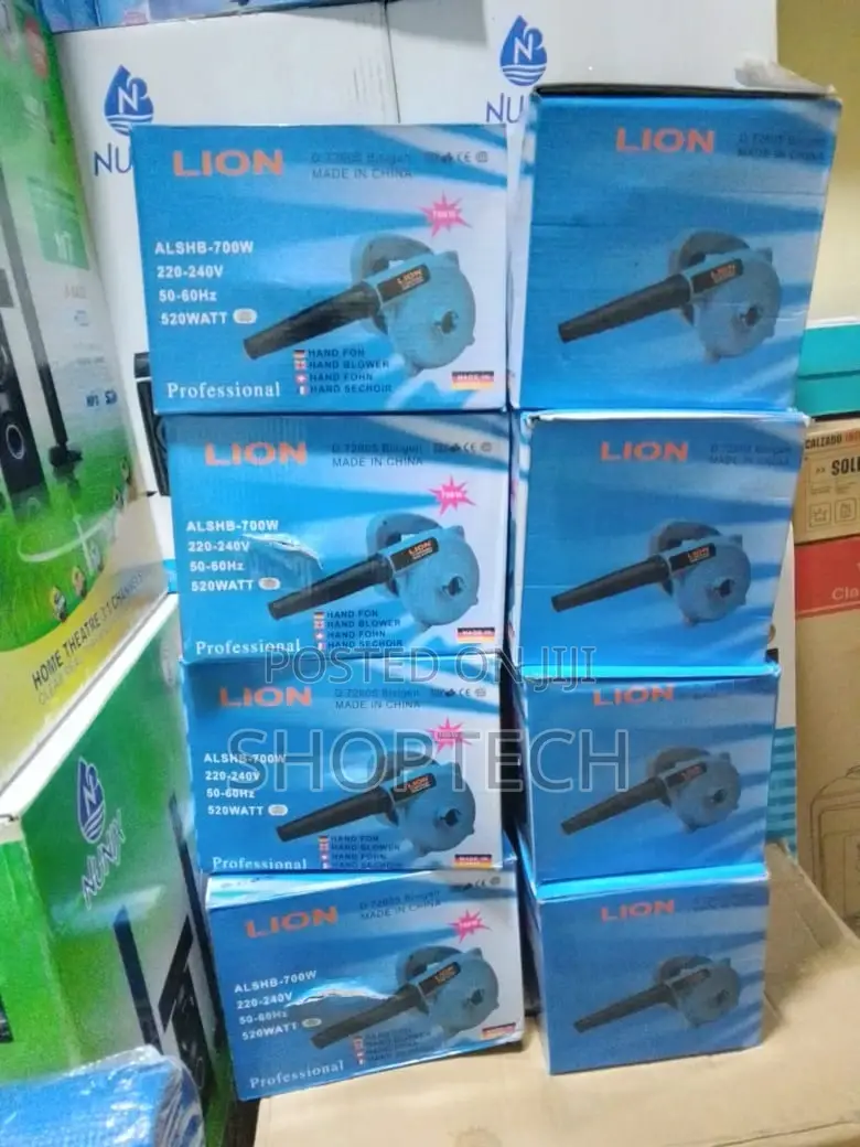 Electric Dust Blower