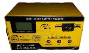 Bolaimei 12v/24v Intelligent Car Battery Fast