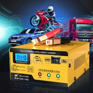 BOLAIMEI BLM-168 12v/24v Car Battery Charger