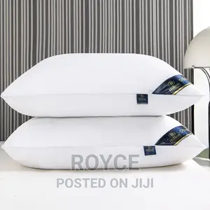 Imported High Quality Hilton Pillows_pair