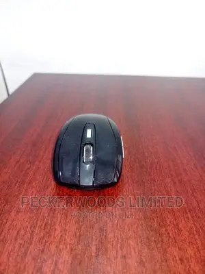 Easy To Use Mouse