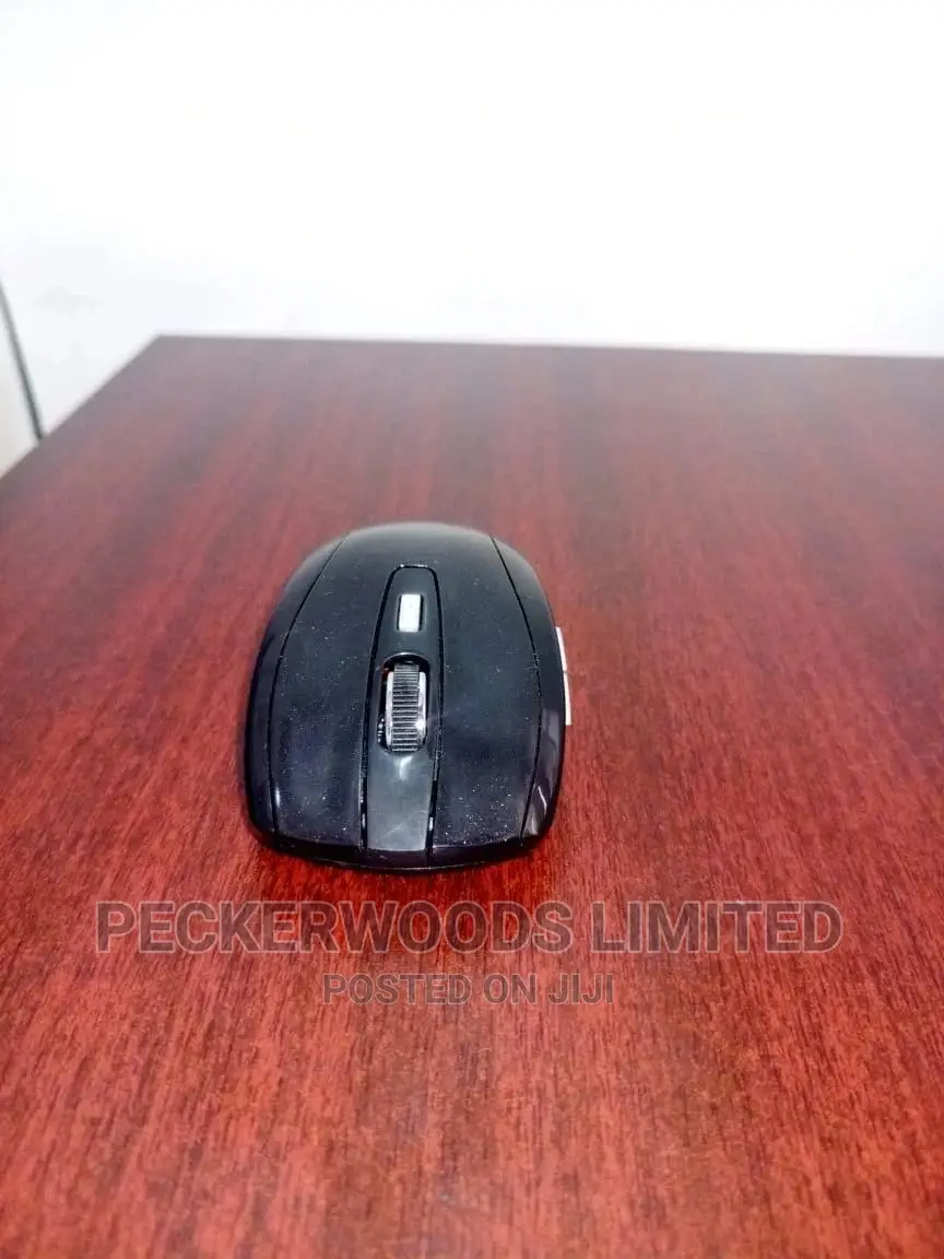 Easy To Use Mouse
