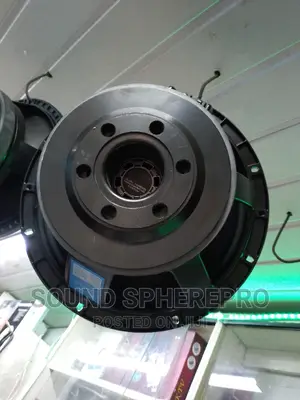 Derwel 12WK300 12 Inch Naked Speaker