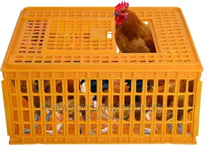 Chicken Carrier Cages