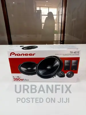 Pioneer 390 Watts TS-651C Components