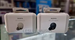 Sony Wf-1000xm5 Wireless Noise Canceling Earbuds | Black