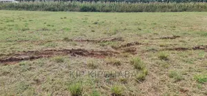 1 Acre Land for Sale in Kiplombe Kapndani in Eldoret