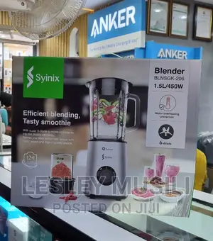 Syinix Stainless Steel Blender Series BLNSGK-206