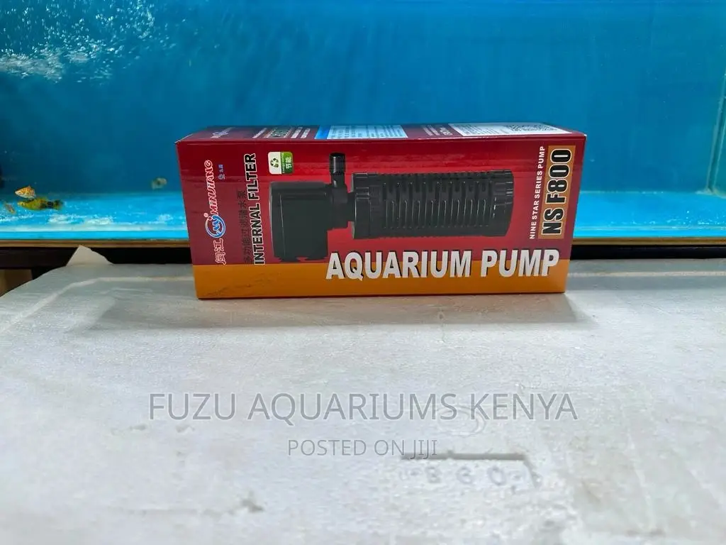Filter Pump , Filter Pump Internal