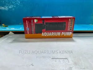 Filter Pump , Filter Pump Internal