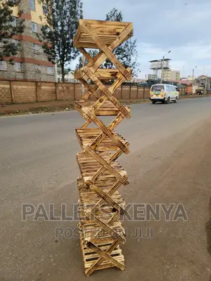 Shoe Rack Organizer- Pfrb1