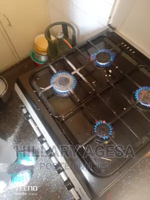 Electric Cooker Repairs