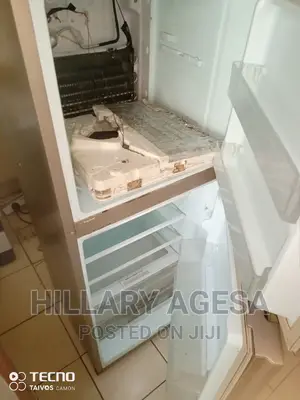 Fridge Servicing