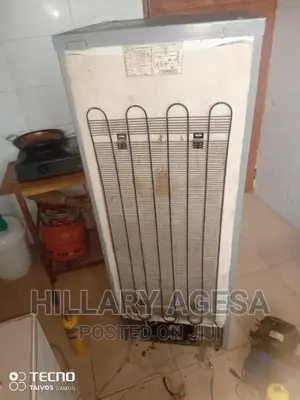 Fridge Compressor Change and Refills