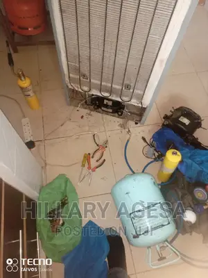 Fridge Gas and Compressor Change