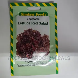 Lettuce Red Salad Vegetable 10G