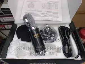 Borl BM-900 Condenser Microphone