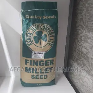 Finger Millet Seed 2kg (Simlaw )