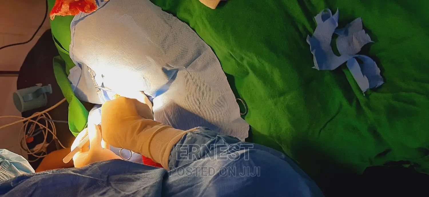 Veterinary Services and Check Ups