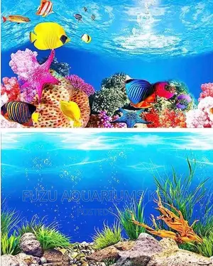 Aquarium Background, Bright and Conspicuous